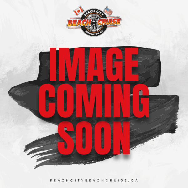 2026 Ladies Cotton T-Shirt